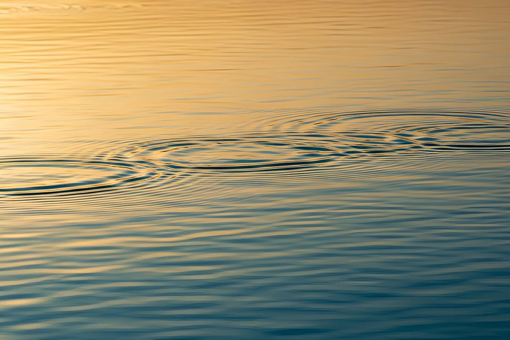 The Art of the Echo: Mastering the Two-Way Street of Feedback