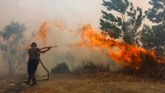 Borneo burning: Life on the frontline of South East Asia’s toxic haze
