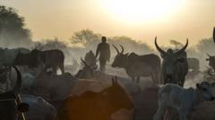 Co-ordinated cattle raids kill at least 72 people in South Sudan