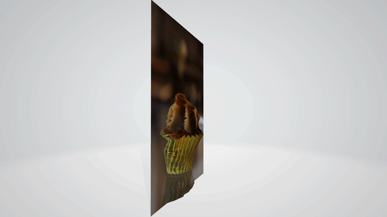 Ddayhyppnaxxtuphcjcnnm 1920 80