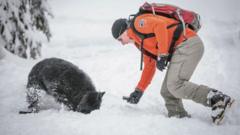 Canada stops using ‘avalanche dogs’ for rescues in Rocky Mountains, stirring outrage